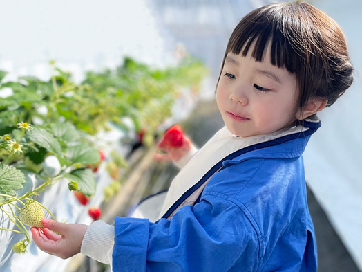 沖美べジタでいちご狩り×一泊二食付ファミリープラン